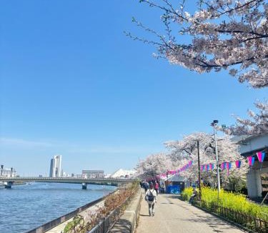 Sumida Villa | Newly Built Private Tokyo Villa Beauty House near Asakusa & Skytree