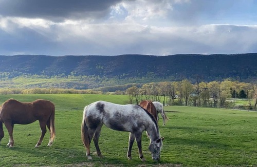 Newville House | Newville, Pennsylvania - Horse Farm Campsite