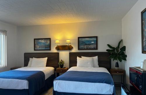 New Smyrna Beach Hotel | Nocturne Motel