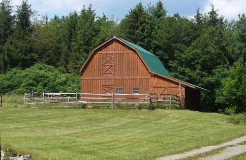 Middlebury Center Cabin | OFF THE BEATEN PATH BEAUTIFUL PRIVATE CABIN WIFI WELLSBORO ENJOY A SPRING VISIT