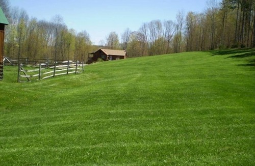 Middlebury Center Cabin | OFF THE BEATEN PATH BEAUTIFUL PRIVATE CABIN WIFI WELLSBORO ENJOY A SPRING VISIT