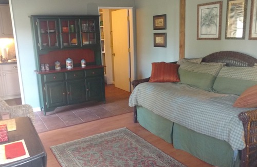 Myakka City Apartment | Old Myakka studio. Top location for birding and wildlife viewing!