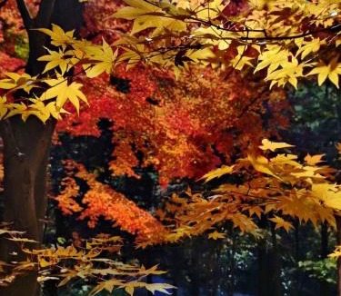 Akiruno House | Otsu Nature Garden