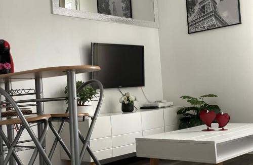 Issy-les-Moulineaux Apartment | Paris 15e - Issy les Moulineaux- parc des expo