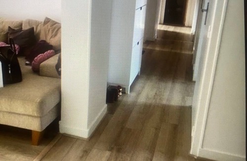 Bel-Air Nord Apartment | Paris - M°nation - Appartement 3 Chambres 90m2