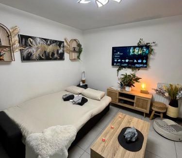 Romainville Apartment | Paris Studio Cosy luxe avec jardin Proche métro