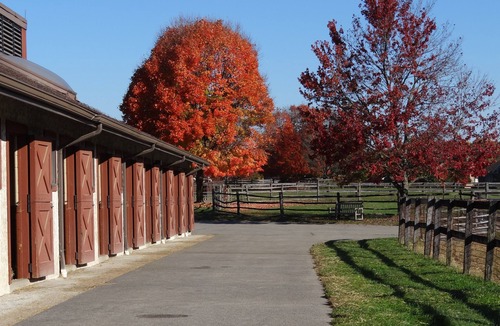Bovard House | Peaceful 3-Bedroom Country Farmhouse Situated on 125 Acre Horse Farm
