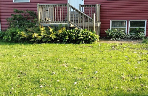 Trumansburg Apartment | Peaceful Trumansburg Country Flat!