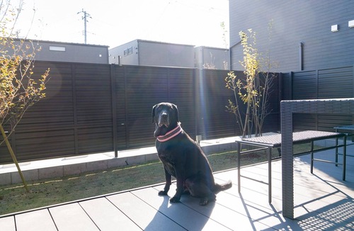 Fujikawaguchiko House | Pets allowed Mt Fuji 2LDK BBQ terrace 105/Minamitsuru-gun Yamanashi