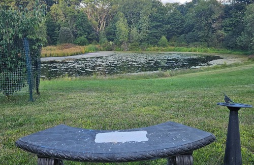 Campbell Hall House | Pond Paradise: Marvelous 4-bedroom house with AC in charming Campbell Hall
