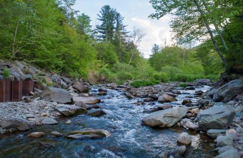 Phoenicia House | Private Cabin by River with Fireplace