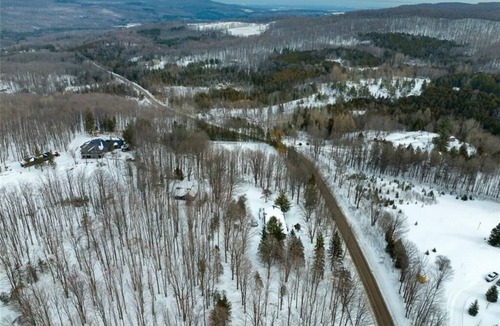 Grey Highlands Cabin | Private Cabin Retreat in Pretty River Valley |15 min to Blue Mountain