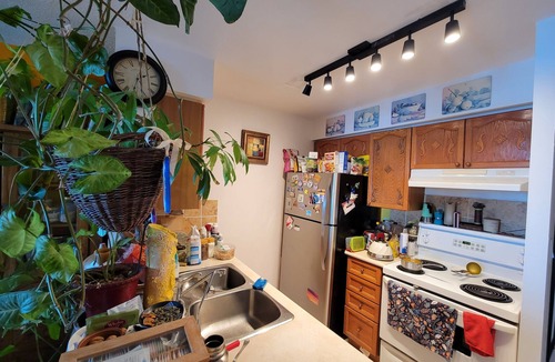 Willowdale Condo | Private Room in an Artsy Condo, North York Center