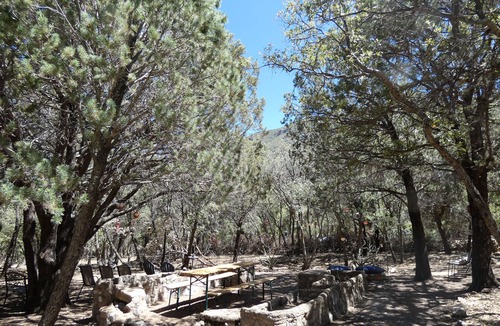 Sierra Vista Southeast House | Ramsey Canyon Bird Sanctuary Cabin: 9 Acres & Trails