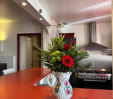 15th Arrondissement Apartment | Red Flat Paris