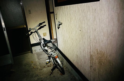 Hamura Apartment | RetroBB203 - Shirakkan 203 / Hamura Tokyo