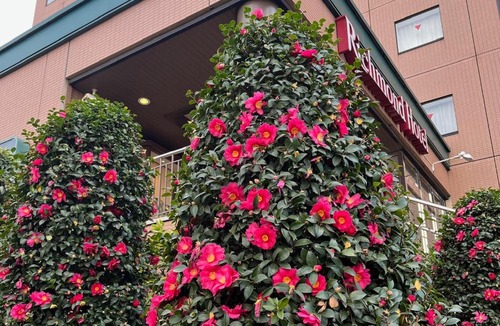 Musashino Hotel | Richmond Hotel Tokyo Musashino