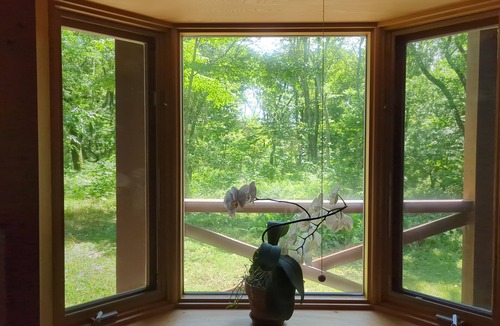 Hara Cottage | Risu-no-ie (Squirrel House)