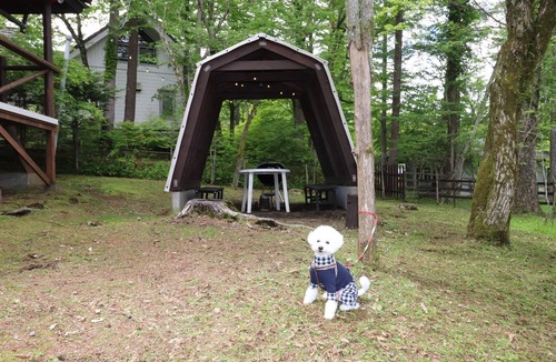 Yamanakako Cottage | Risumura Villa with Dog Winter With a dedicate/Minamitsuru-gun Yamanashi