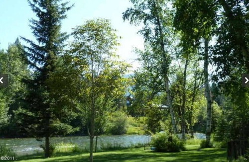 Bigfork Cottage | Riverfront Cottage Peaceful, Natural Setting