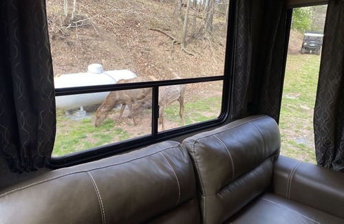 Driftwood House | Rivers, private elk viewing, FREE amenities, site on 62 acres