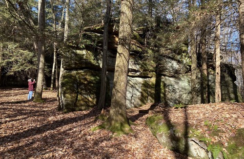Driftwood House | Rivers, private elk viewing, FREE amenities, site on 62 acres