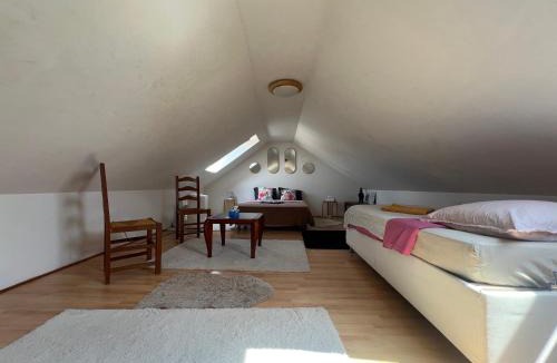 Roissy-en-France House | Roissy CDG, private room 4