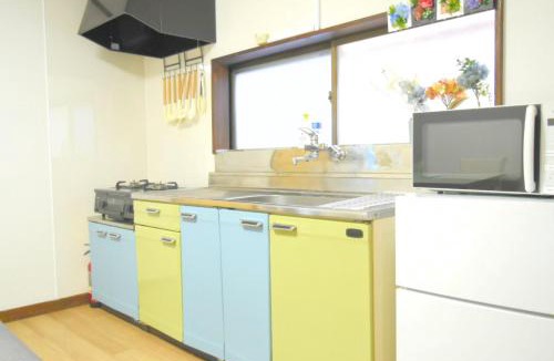 Higashishinkoiwa Apartment | Rooftop Haven 新小岩