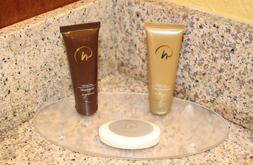 Florida Central Atlantic Coast Hotel | Rosen Inn Lake Buena Vista