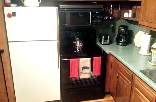 Champion Cabin | Seven Springs Cabin - Luna Chalet - Authentic, Pet Friendly Log Cabin