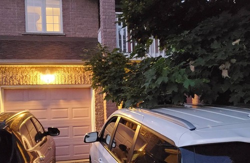 Oro-Medonte Apartment | Shiny aprtment/ Separate entrance and free parking