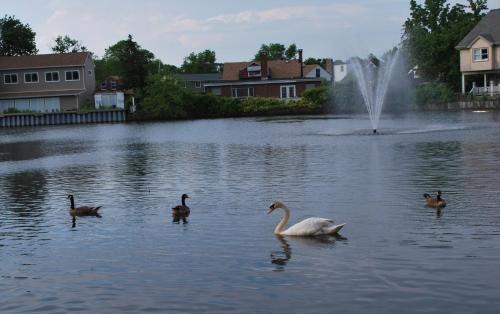 Copiague Hotel | South Bay Motel