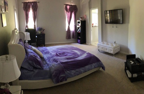 New Tampa House | Spacious 4B2B House in New Tampa - minutes to i-75 and i-275