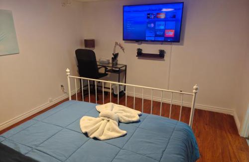 Pickering Apartment | Spacious Basement Lower Suite 3BR Home Stay 1 King 2 Queen Beds 2 Car Parkings MAJOR INTERNATIONAL SPORTING EVENT 2026