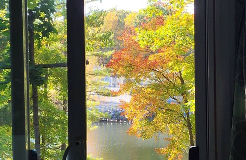 Washago Cottage | Spectacular Riverfront Cottage + Bunkie on Gravenhurst. Pet friendly