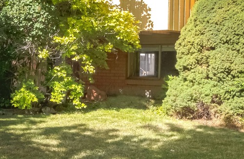 Cedar City Apartment | Stay Awhile at this Hidden Hub in Cedar City