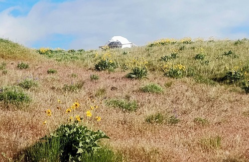 Plains House | Stay in a unique space while visiting Montana in this family friendly Dome