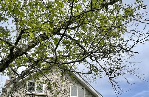 Tiny Cottage | Stone Cottage 5 minute walk to beach