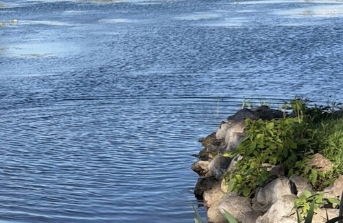 Brewerton House | Stone Cottage on Oneida Lake