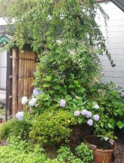 Ogano-machi Hotel | Suijin Hotel - Vacation STAY 23120v