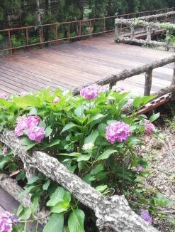 Ogano-machi Hotel | Suijin Hotel - Vacation STAY 23120v