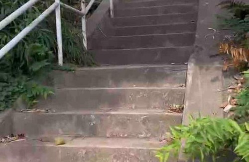 Itabashi Apartment | Sweet house 101 東武練馬101