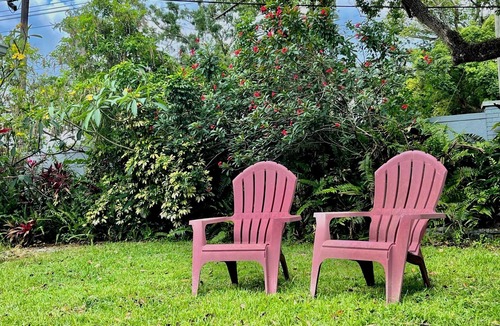 Lake Magdalene House | Tampa Escape, Lush Gardens, Pet-Friendly, 4BR Oasis - Tampa vacation rental