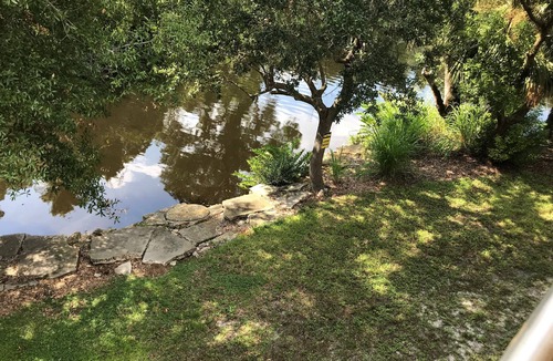 Town N County Park House | TAMPA FLORIDA VACATION DELIGHT