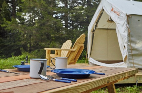 Sparrow Bush RV Rental | Tentrr Signature Site - Shady Pines Campsite