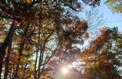 Sparrow Bush RV Rental | Tentrr Signature Site - Shady Pines Campsite