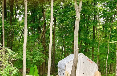 Red Hook RV Rental | Tentrr Signature Site - FRISKY SWARD Upper Forest