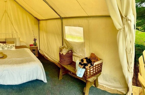 Red Hook RV Rental | Tentrr Signature Site - Frisky Sward Lower Meadow 1