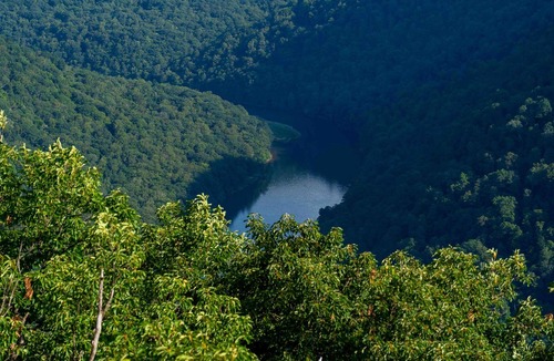 Gans RV Rental | Tentrr State Park Site - WV Coopers Rock State Park - Site D - Single Camp