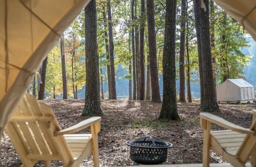 Morton RV Rental | Tentrr State Park Site - Mississippi Roosevelt State Park - Tall Trees D - Sing